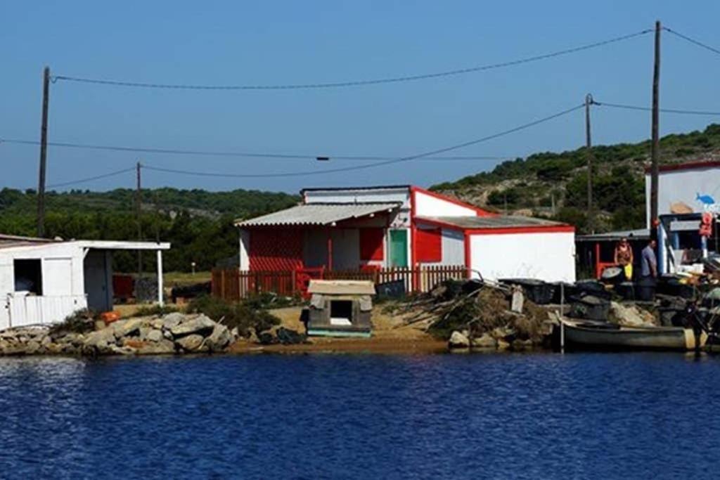 Location Gruissan, Studio, piscine, parking privé Exterior foto